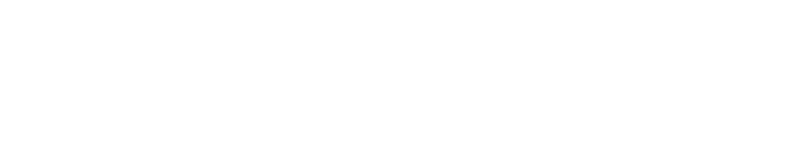 Dynamo Brand